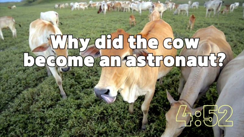 5-Minute COW-ntdown!